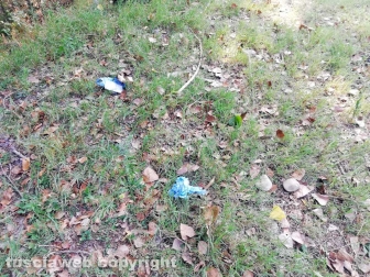 Bomarzo - Uomo trovato morto in un laghetto