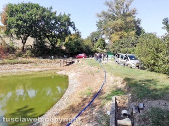 Bomarzo - Uomo trovato morto in un laghetto