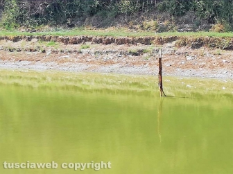 Bomarzo - Uomo trovato morto in un laghetto