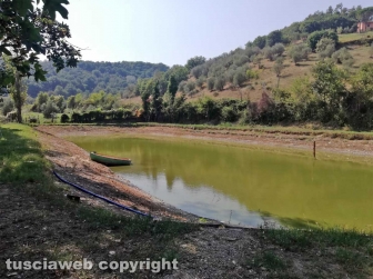 Bomarzo - Uomo trovato morto in un laghetto