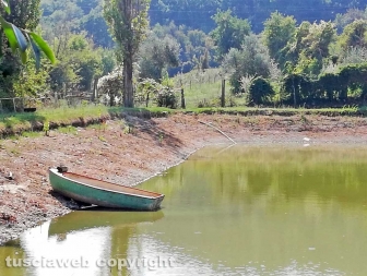 Bomarzo - Uomo trovato morto in un laghetto