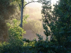 Le polveri al lago di Vico