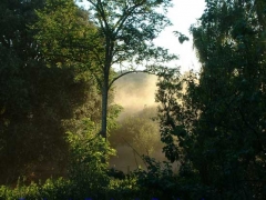 Le polveri al lago di Vico