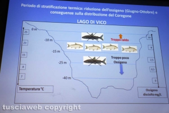 L'intervento di Giuseppe Nascetti dell'Unitus