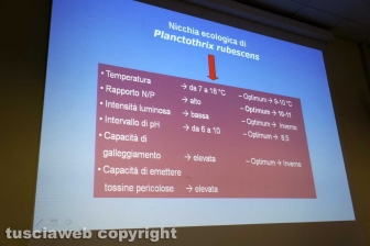 L'intervento di Giuseppe Nascetti dell'Unitus