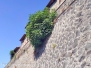 Il lastricato di Roccalvecce