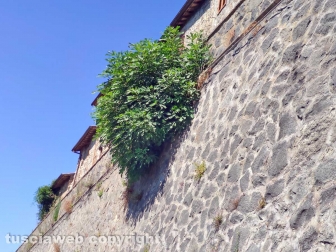 Il lastricato di Roccalvecce
