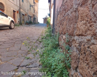 Il lastricato di Roccalvecce
