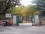 Il leccio caduto sul parco dei bambini