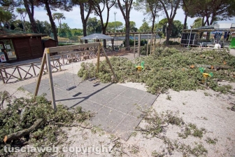 Il leccio caduto sul parco dei bambini