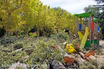 Il leccio caduto sul parco dei bambini