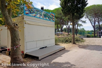 Il leccio caduto sul parco dei bambini