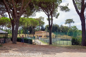Il leccio caduto sul parco dei bambini