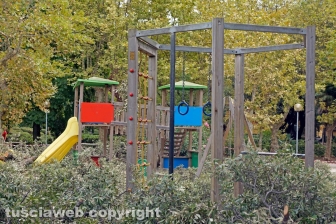 Il leccio caduto sul parco dei bambini