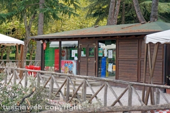 Il leccio caduto sul parco dei bambini