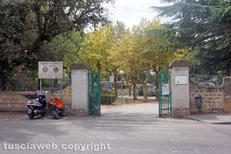 Il leccio caduto sul parco dei bambini