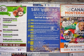 Il leccio caduto sul parco dei bambini