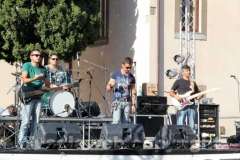 Il megaconcerto per il canile
