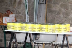 Il megaconcerto per il canile