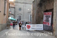 Il megaconcerto per il canile