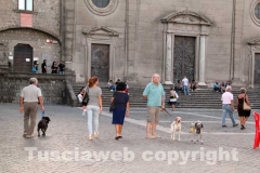 Il megaconcerto per il canile