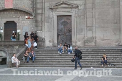 Il megaconcerto per il canile