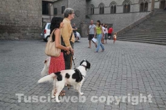 Il megaconcerto per il canile