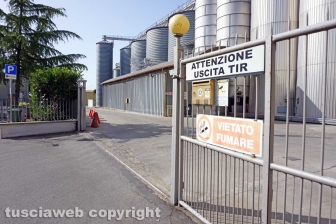 Il Molino Profili a Pianoscarano