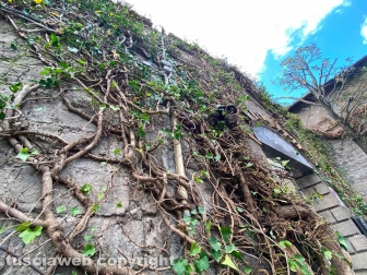 Il muro di San Carluccio
