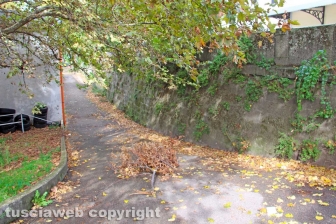 Viterbo - Transennato il muro pericolante davanti alla stazione di Porta romana