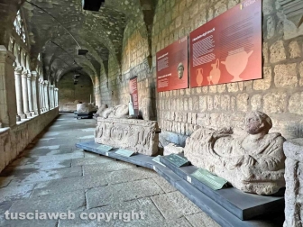 Il museo civico