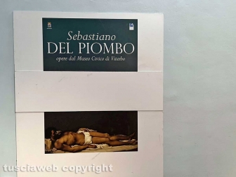 Il museo civico