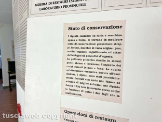 Il museo civico