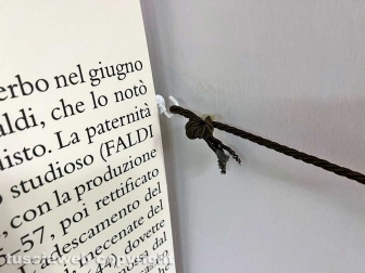 Il museo civico