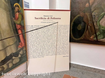 Il museo civico