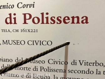 Il museo civico