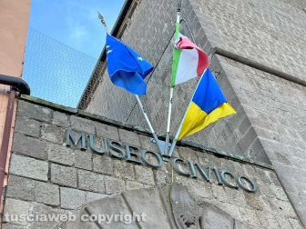 Il museo civico