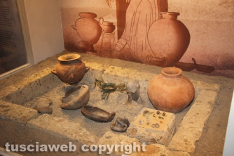 Montalto - Il museo di Vulci