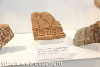 Montalto - Il museo di Vulci