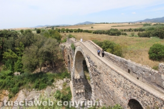 Montalto - Il museo di Vulci