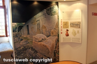 Viterbo - Il museo nazionale etrusco
