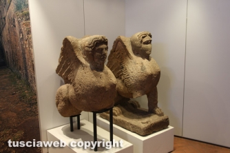Viterbo - Il museo nazionale etrusco