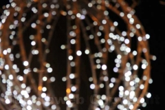 Il Natale illumina il centro