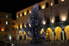 Il Natale illumina il centro