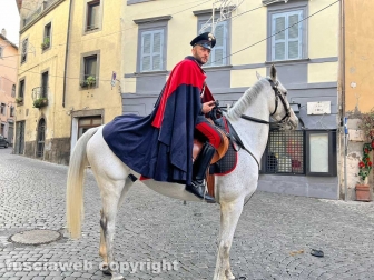 Il Natale in città