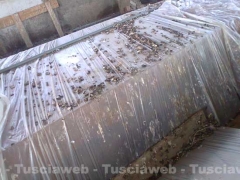 Il palco del Papa tra topi ed escrementi