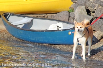 Il Palio del Lago Di Vico