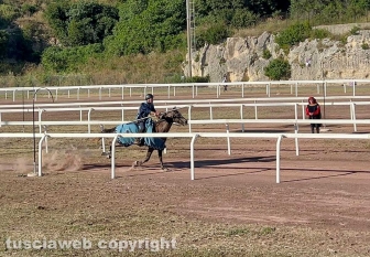 Il palio dell’Anello di Tarquinia - Seconda classificata contrada San Pancrazio