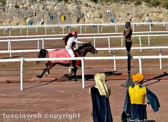 Il palio dell’Anello di Tarquini