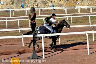 Il palio dell’Anello di Tarquini